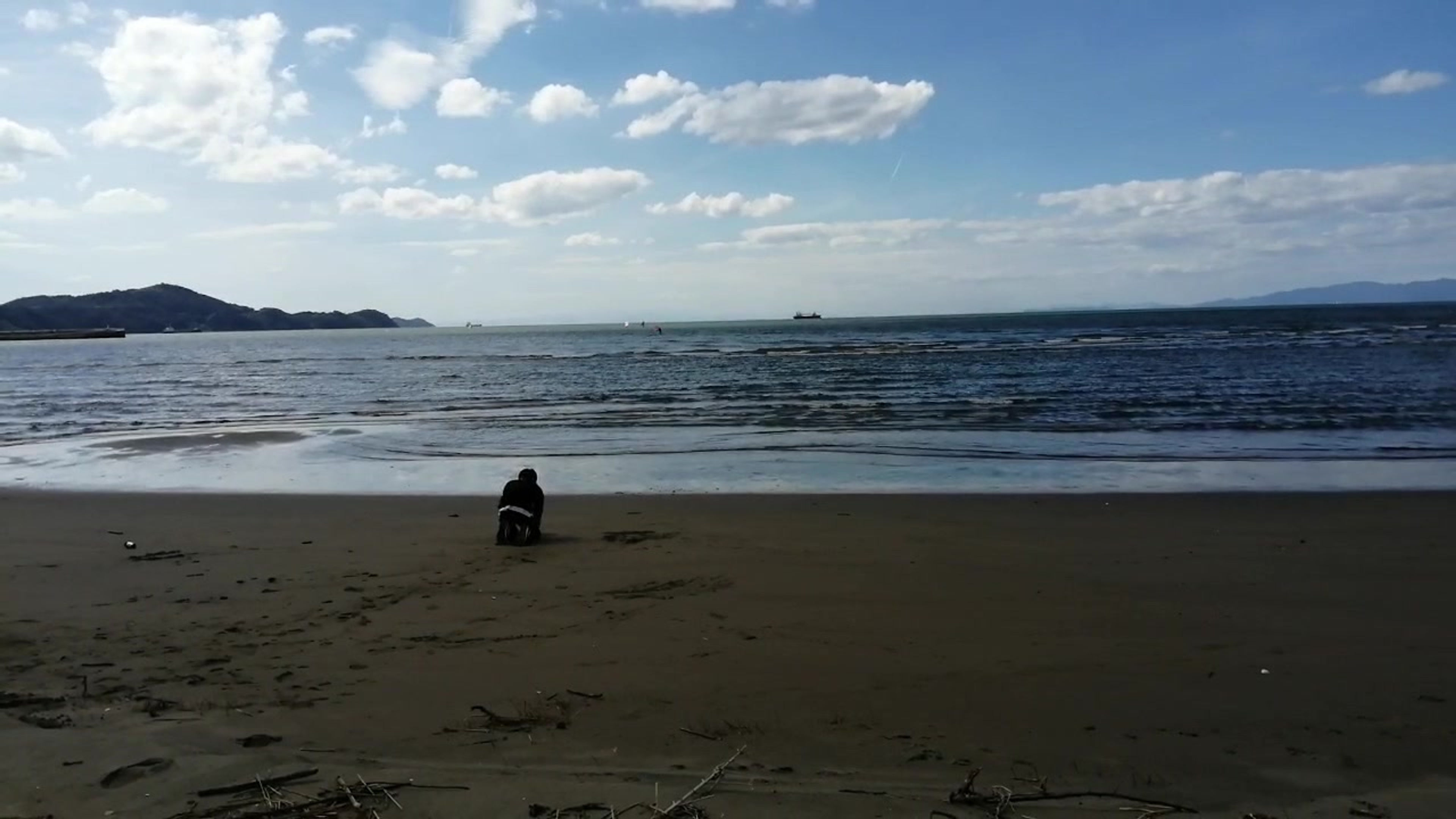 すべての動画